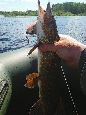 Боровно-Розливы 30 мая 2017 020.jpg