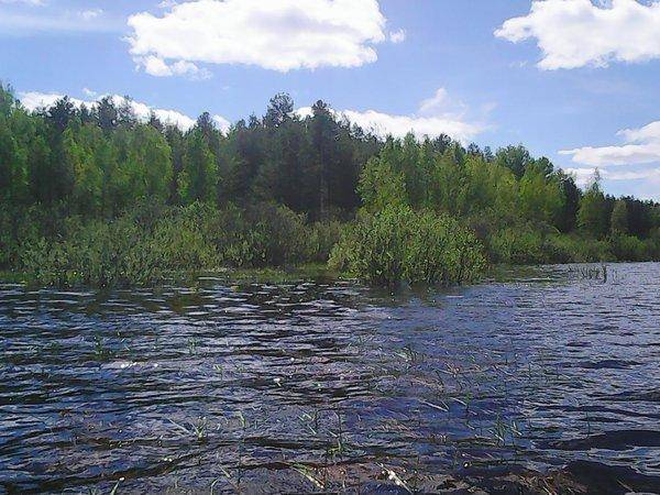 Боровно-Розливы 30 мая 2017 027.jpg