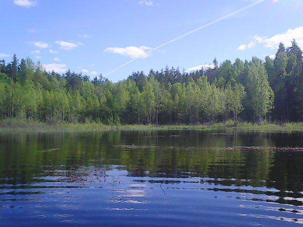 Боровно-Розливы 30 мая 2017 043.jpg