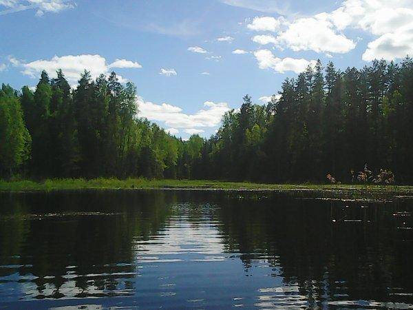 Боровно-Розливы 30 мая 2017 044.jpg