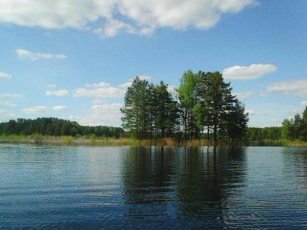 Боровно-Розливы 30 мая 2017 047.jpg