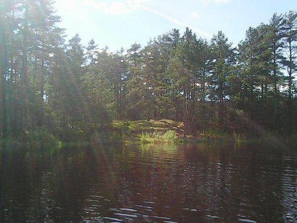 Боровно-Розливы 30 мая 2017 050.jpg