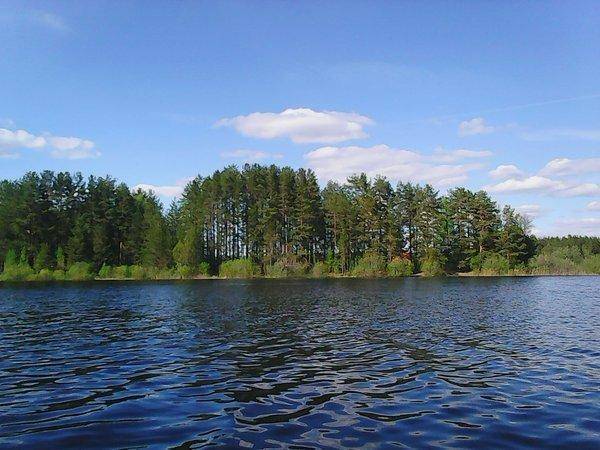 Боровно-Розливы 30 мая 2017 055.jpg