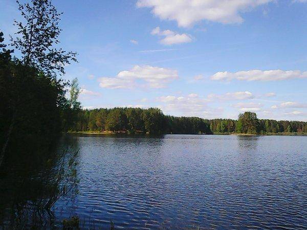 Боровно-Розливы 30 мая 2017 067.jpg