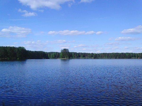 Боровно-Розливы 30 мая 2017 065.jpg