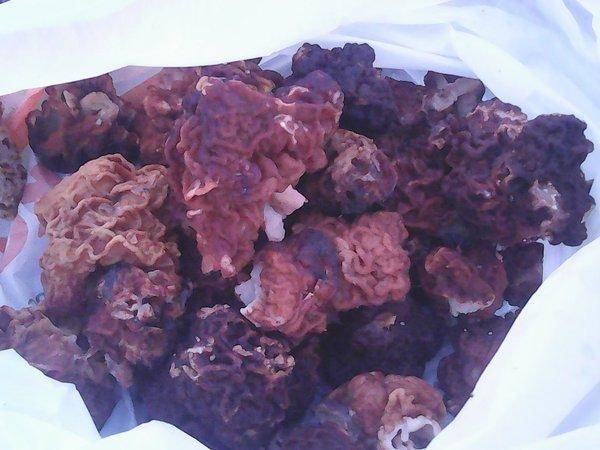 Отдых 4 июня 2017 010.jpg