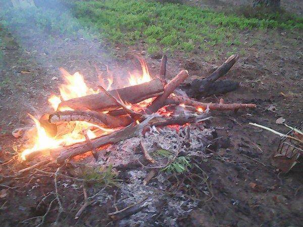 Отдых 4 июня 2017 012.jpg