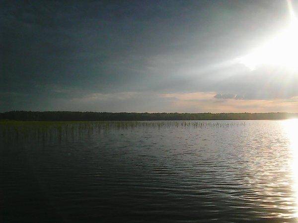 Джерки рулят 17 июня 2017 009.jpg