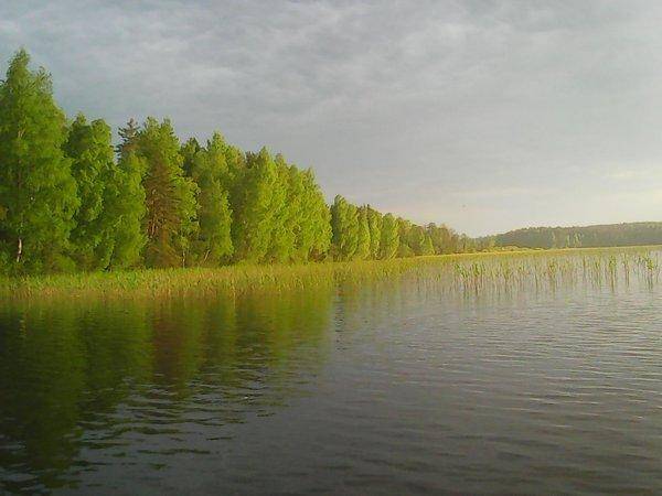 Джерки рулят 17 июня 2017 010.jpg