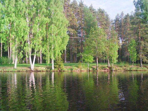 Джерки рулят 17 июня 2017 011.jpg