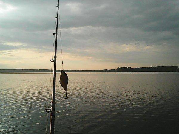 Джерки рулят 17 июня 2017 013.jpg