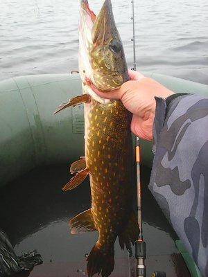 Джерки рулят 12 июня 2016 Живописное озеро 014.jpg