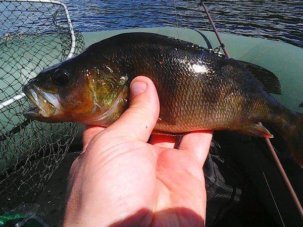 Вылазка на интересное озеро 19 июня 2017 006.jpg