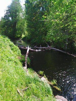 Вылазка на интересное озеро 19 июня 2017 010.jpg