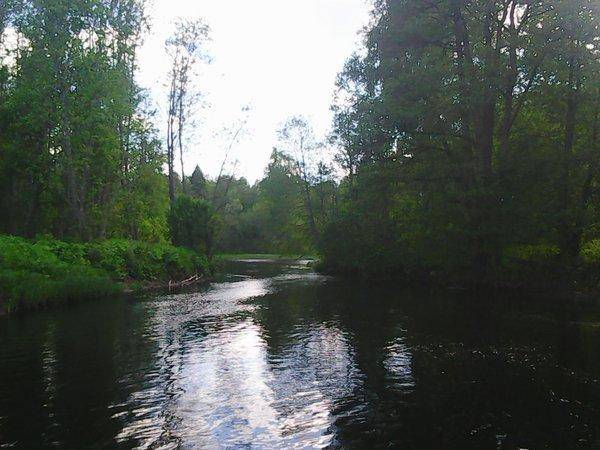 Вылазка на интересное озеро 19 июня 2017 018.jpg