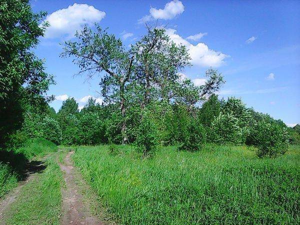 Вылазка на интересное озеро 19 июня 2017 029.jpg