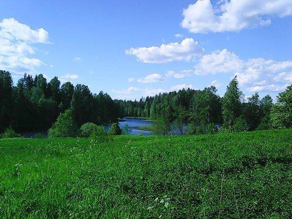 Вылазка на интересное озеро 19 июня 2017 039.jpg