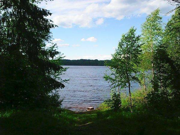 Вылазка на интересное озеро 19 июня 2017 042.jpg