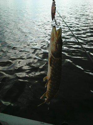 Новгородские Порыбалки 23-24 июня 2017 037.jpg