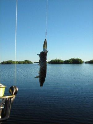 1980-01-01 00-00-20 (2).JPG