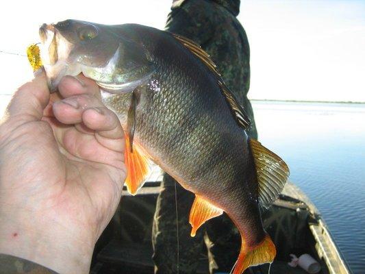 1980-01-01 00-00-10 (12).JPG