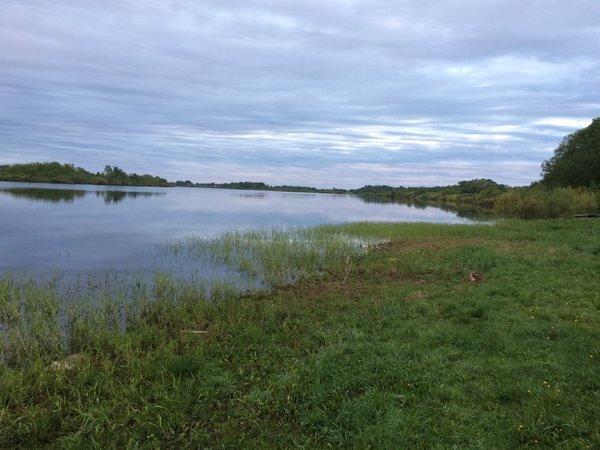 IMG_5094.thumb.JPG.da34e889677f61fc2bbbd