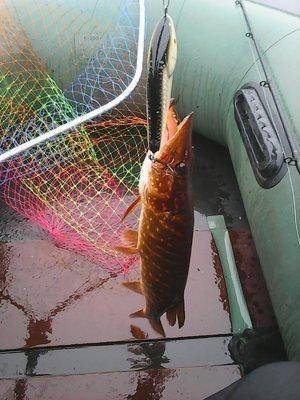 Джерки рулят 1 июля 2017 (щучье озеро) 008.jpg