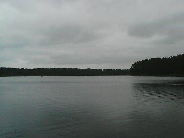 Первые грибы 008.jpg