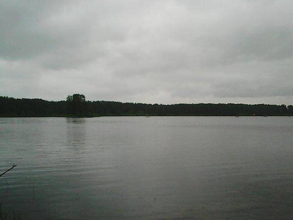 Первые грибы 010.jpg