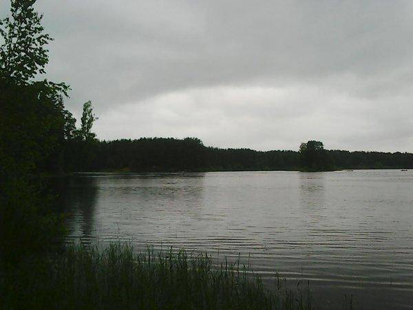 Первые грибы 013.jpg