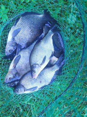 Утрянка на лещиках 019.jpg