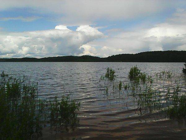 Джиг-Фест Хвойная 2017 001.jpg