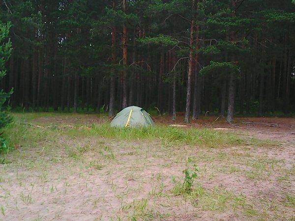 Джиг-Фест Хвойная 2017 005.jpg