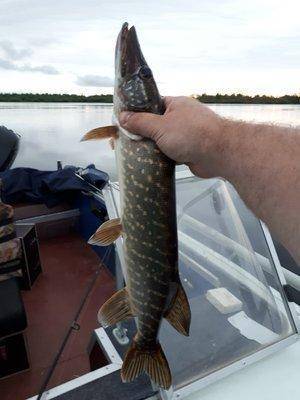 2017-07-27 21.16.33.jpg