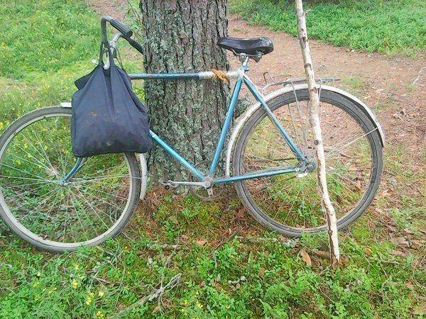 Грибы 28 июля 2017 041.jpg