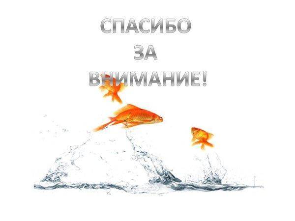 0020-020-Spasibo-za-vnimanie.jpg