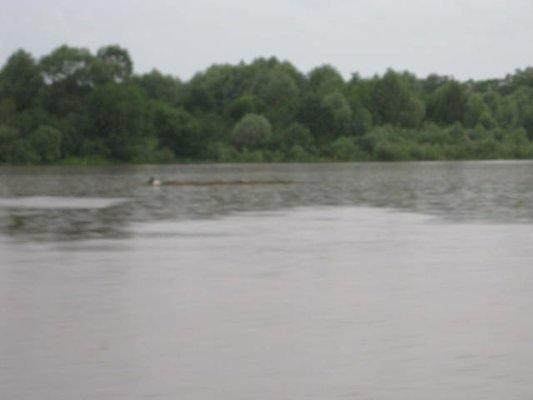 2017-07-31 19-33-49.JPG