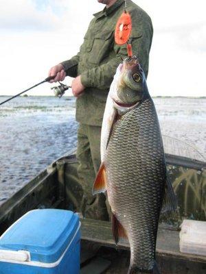 2017-08-01 10-31-28.JPG