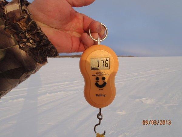 аркацкий с Хичником 046.JPG