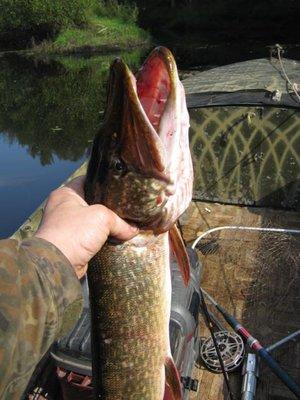 2017-09-01 14-24-23.JPG