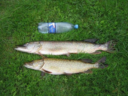 2017-09-01 16-11-43.JPG