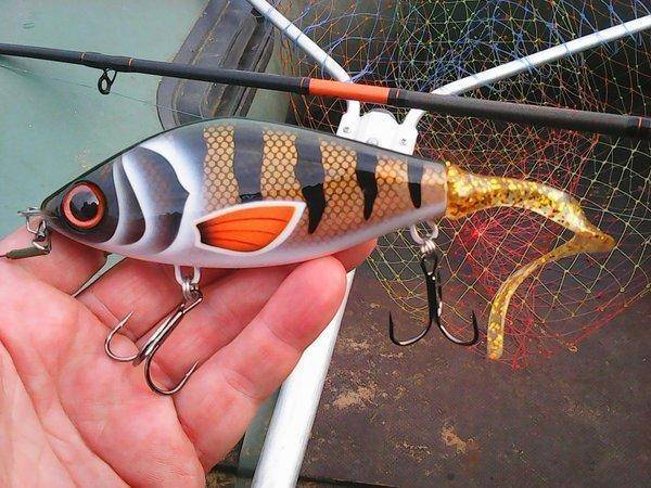 Грибы 2 сентября 2017 021.jpg