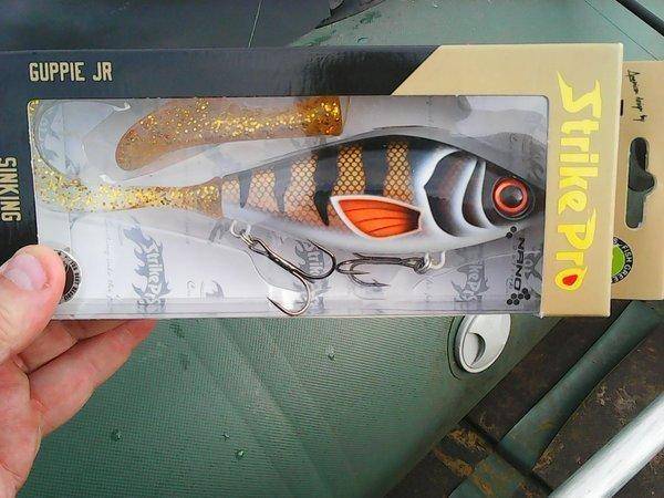 Грибы 2 сентября 2017 019.jpg