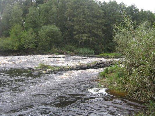 2017-09-08 16-05-07.JPG