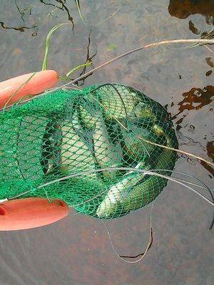 Лещи 10 сентября 2017 016.jpg