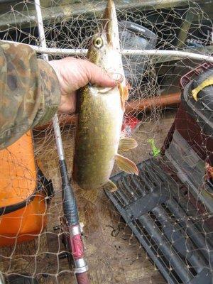 2017-09-13 12-45-01.JPG