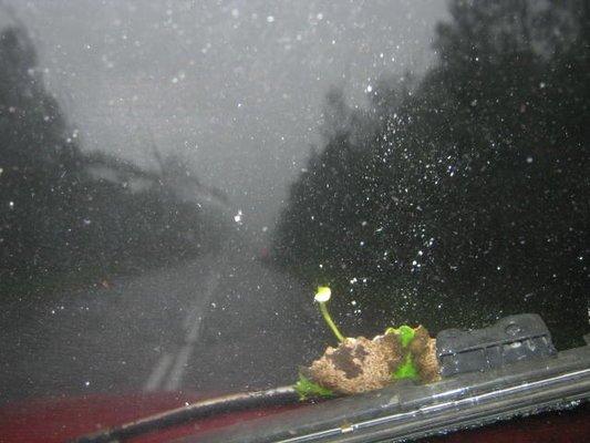 2017-09-13 14-56-00.JPG