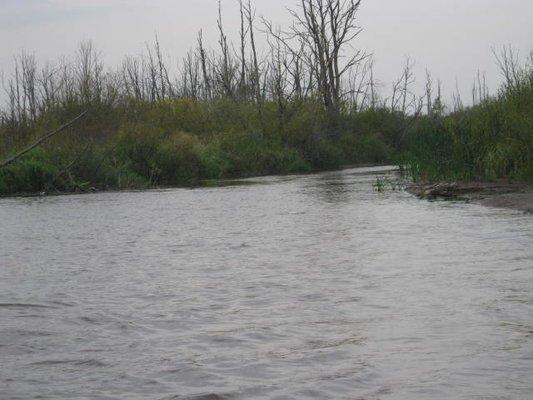 2017-09-13 11-50-18.JPG