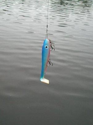 Грибная рыбалка 29 сентября 2017 013.jpg