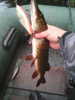 Грибная рыбалка 29 сентября 2017 020.jpg